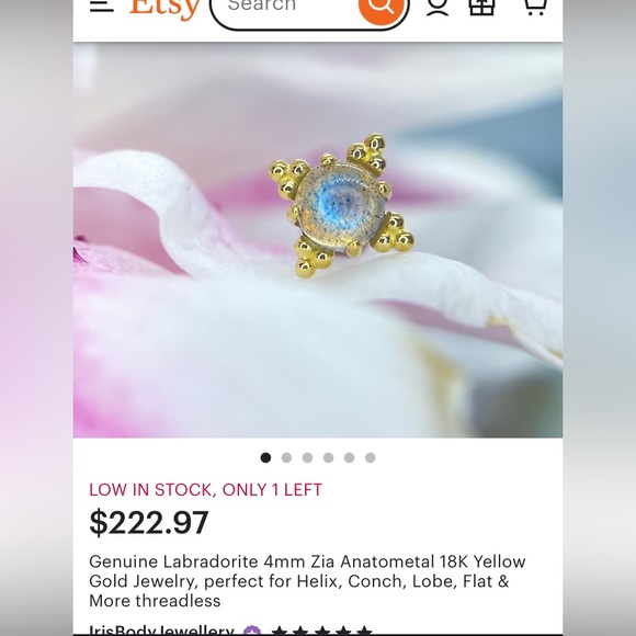 Anatometal “Zia” End 4mm White gold & labradorite - Picture 5 of 7